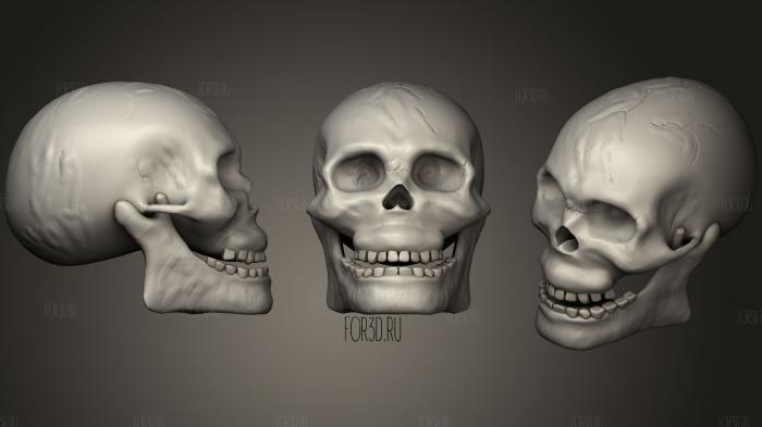 Detailed Skull 3d stl модель для ЧПУ